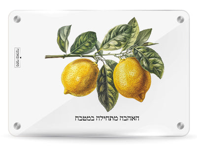מארז בהרכבה עצמית - דגם לימונים