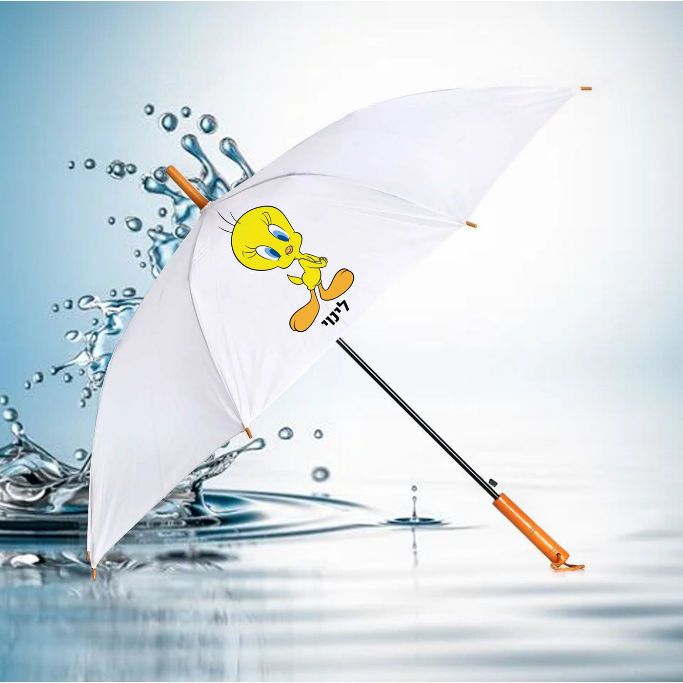 מטרייה מעוצבת עם שם אישי- טוויטי